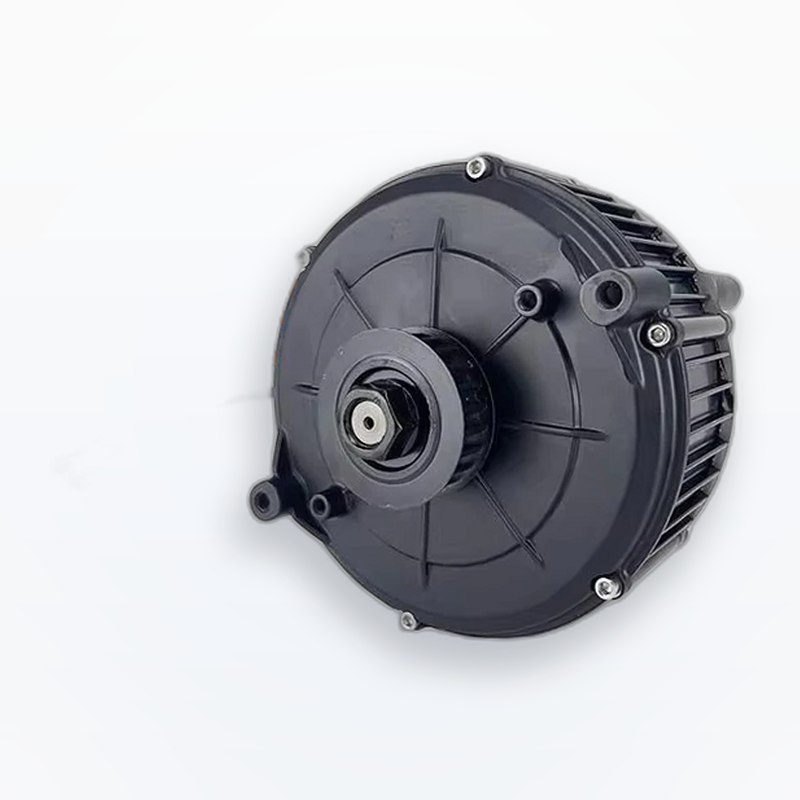 5000W 60V IPM PMSM QS165 35H M - 60V 5000W Brushless Hub Motor recensie en prijs