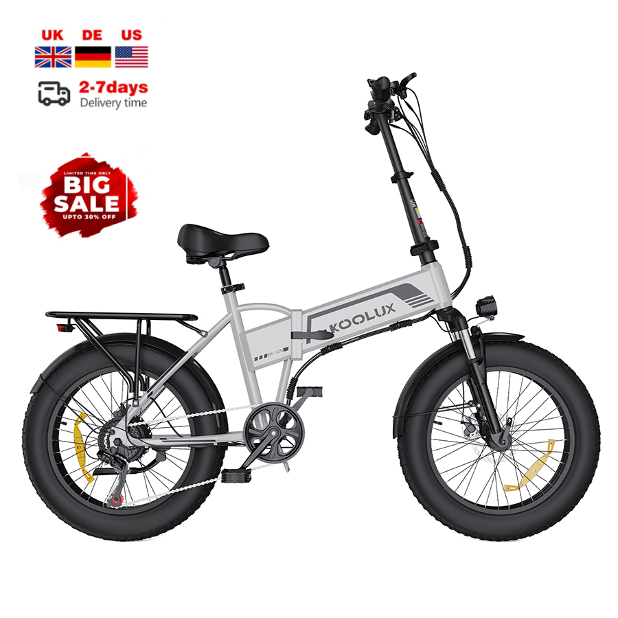 EU PL Warehouse 500W Fatbike 4 - Electric Scooter 500W recensie en prijs